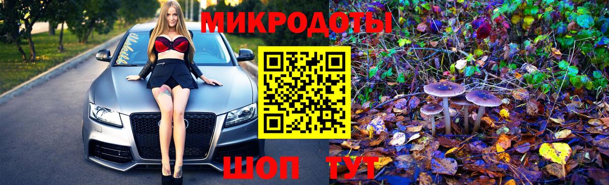 Михайловка  Псилоцибиновые грибы Cubensis  продажа наркотиков  Вход с VPN 