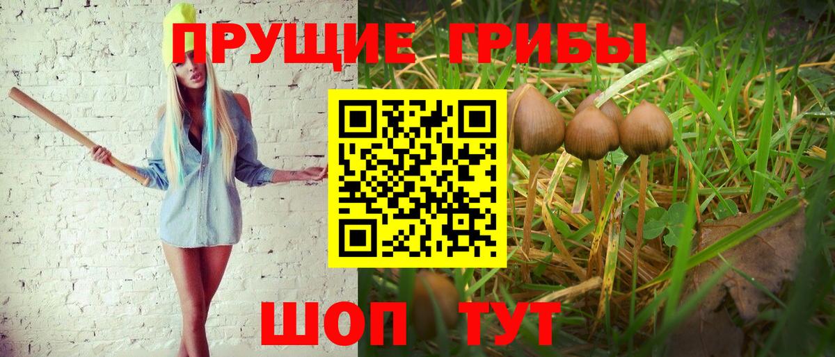 Псилоцибиновые грибы Magic Shrooms Михайловка